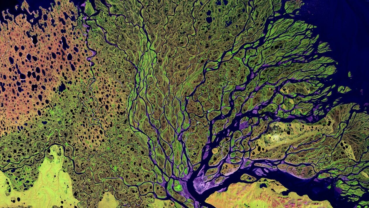 Umenie a environmentálne problémy: Umenie ako nástroj na upozorňovanie na ekologické problémy