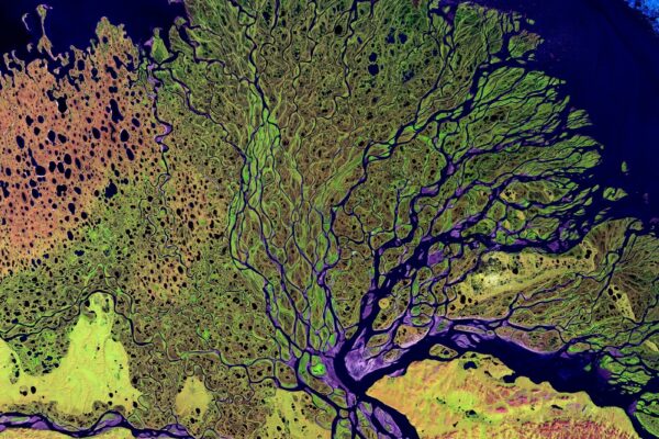 Umenie a environmentálne problémy: Umenie ako nástroj na upozorňovanie na ekologické problémy