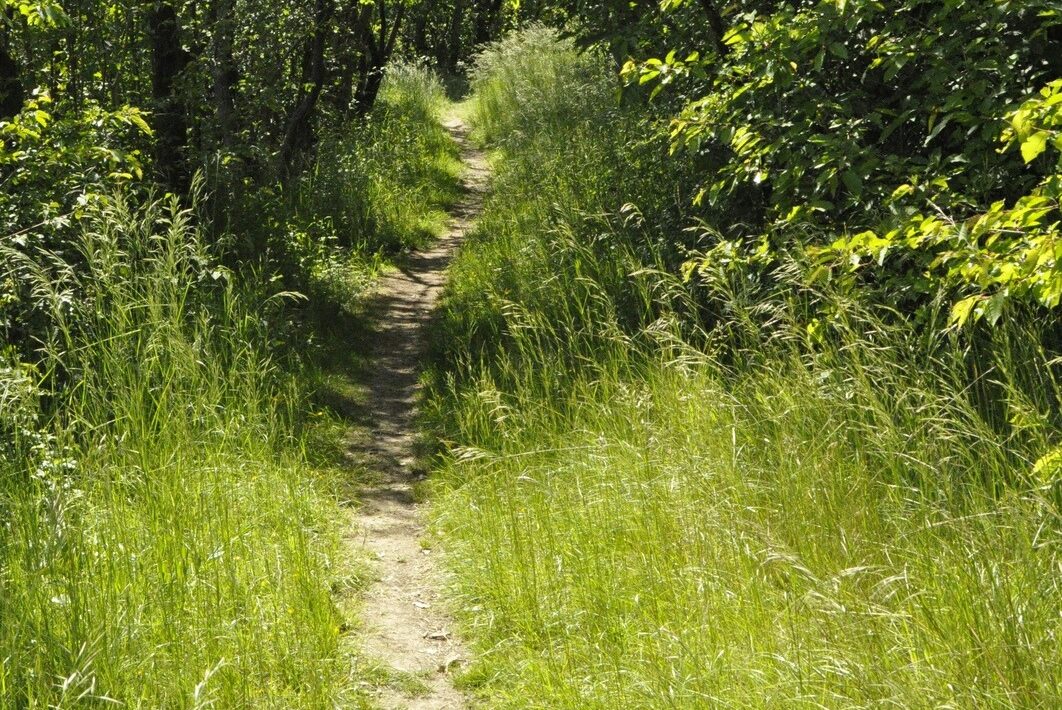 Zelená dolina: Oáza pokoja a relaxu