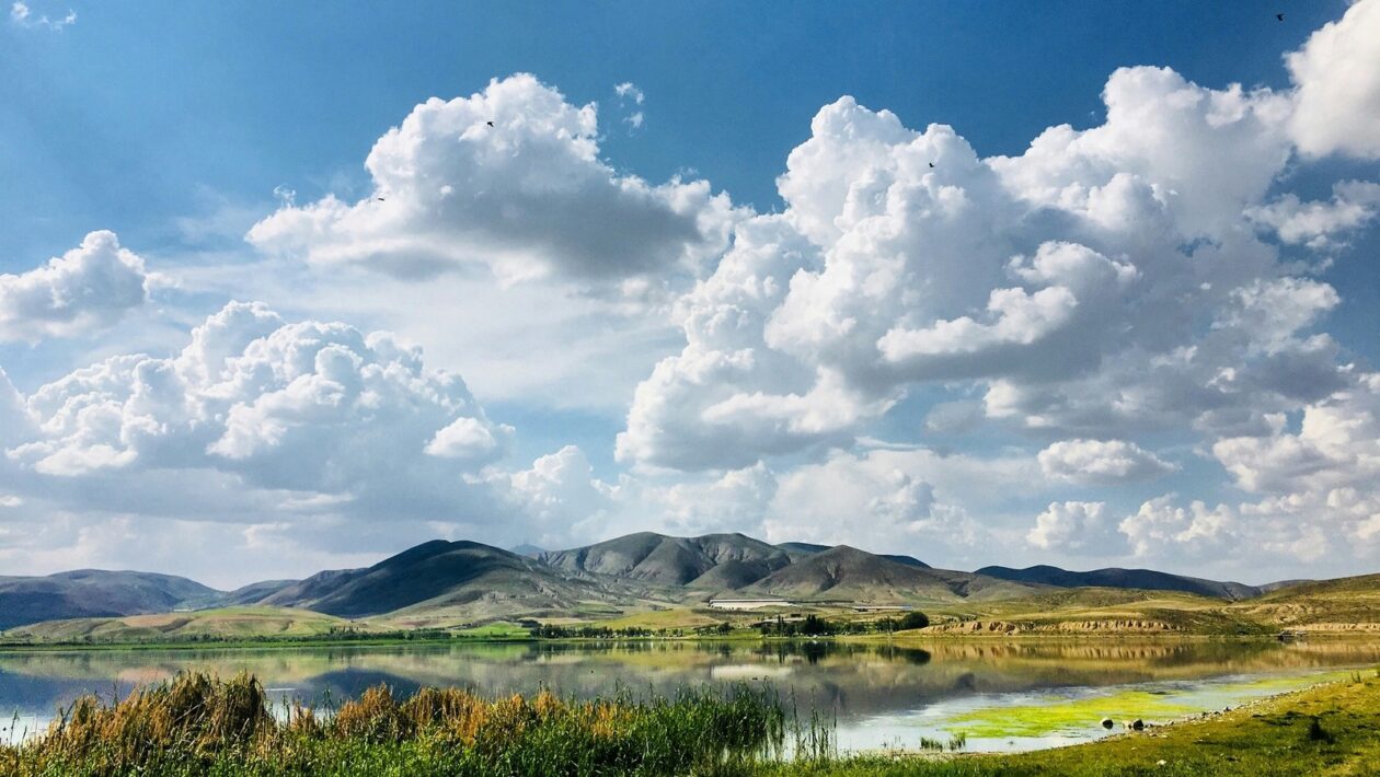 Kompostovanie: Výroba kompostu, jeho využitie v záhrade