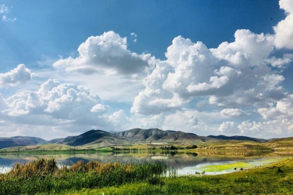 Kompostovanie: Výroba kompostu, jeho využitie v záhrade