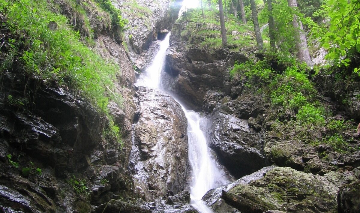 Flóra a fauna Slovenského raja: Bohatý život v národnom parku