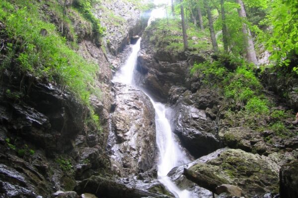Flóra a fauna Slovenského raja: Bohatý život v národnom parku