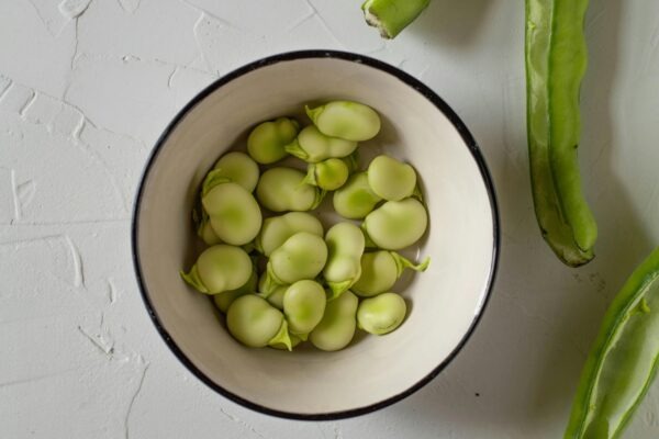 Kultúrna politika a manažment: Financovanie, stratégie a inštitúcie