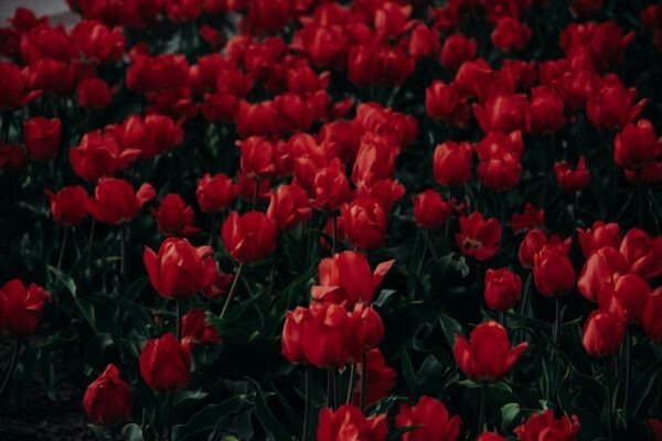 Brutalizmus: Betón, monumentálnosť a kontroverzia