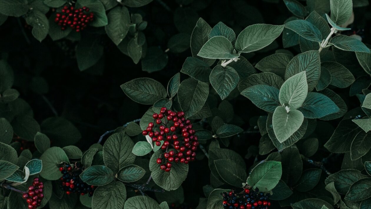 Interiérový dizajn: Princípy, ergonómia a estetika