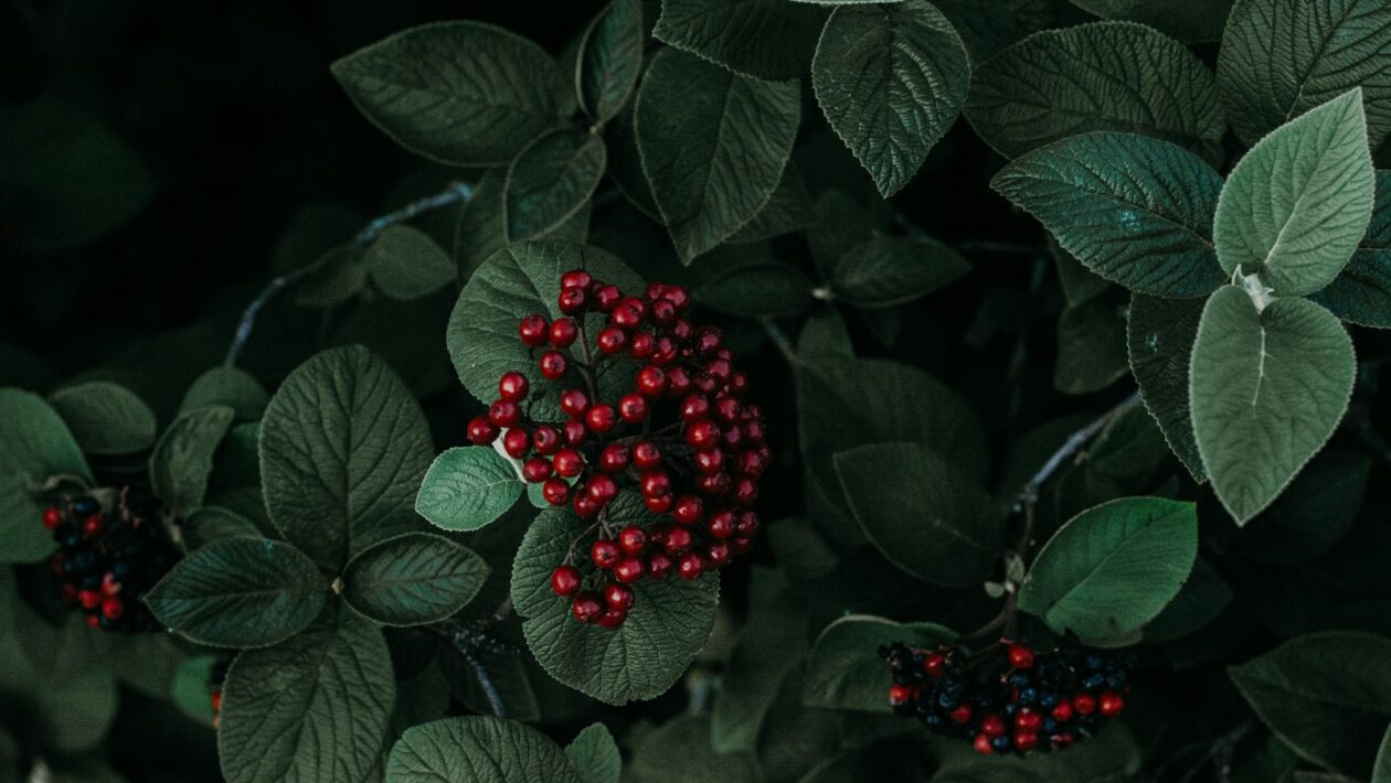 Industriálny dizajn: Tvar, funkcia a sériová výroba