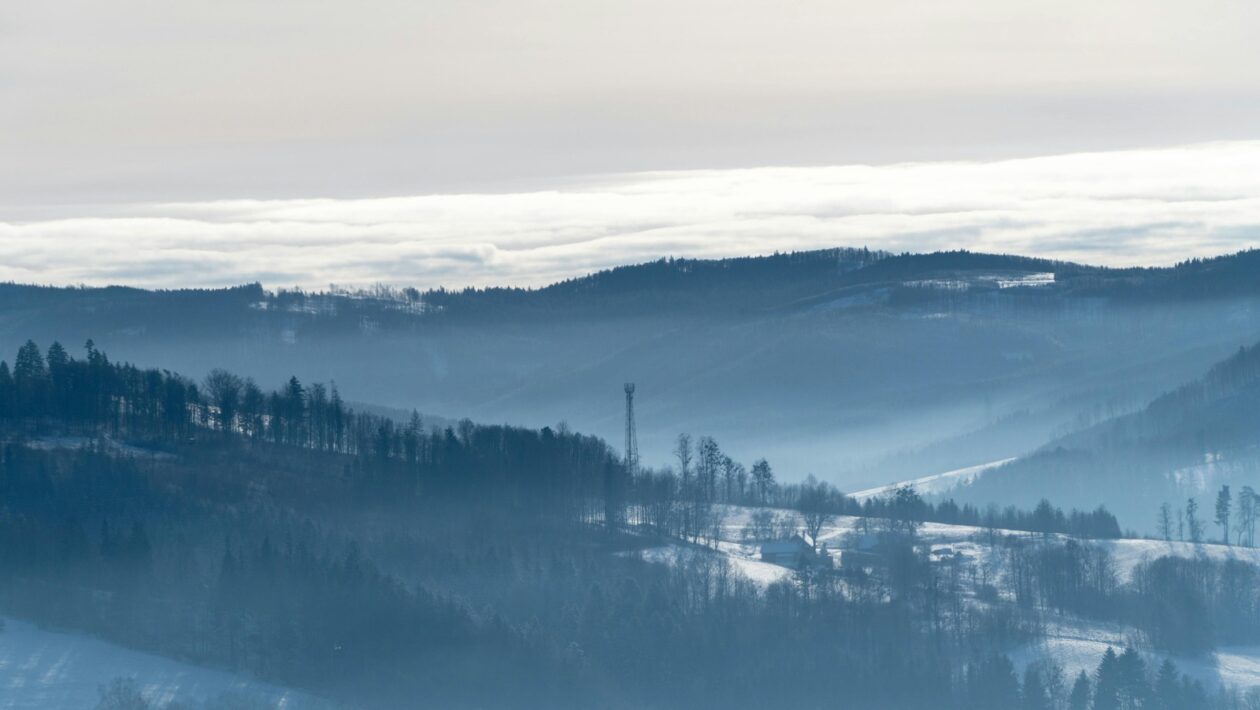 Ján Kollár a Ľudovít Štúr: Jazyková a poetická koncepcia národa