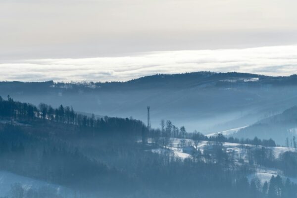 Ján Kollár a Ľudovít Štúr: Jazyková a poetická koncepcia národa