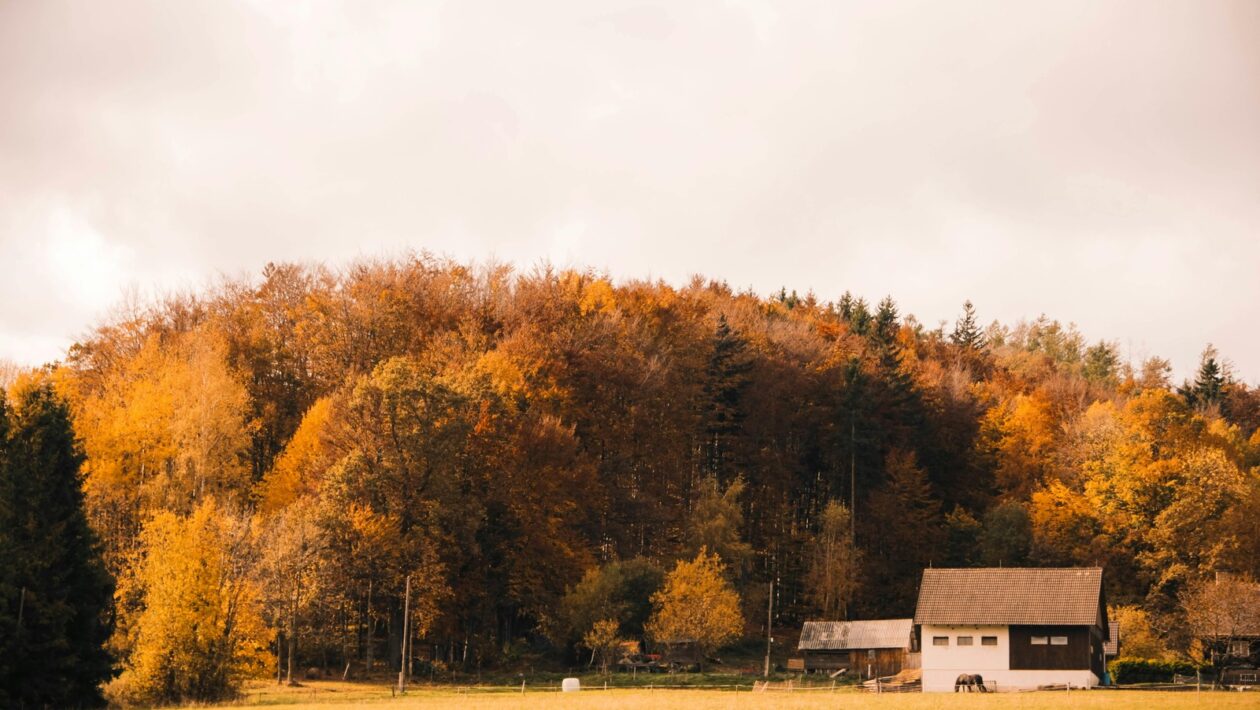 Slovenská próza 19. storočia: Rozvoj žánrov, autori a tematika