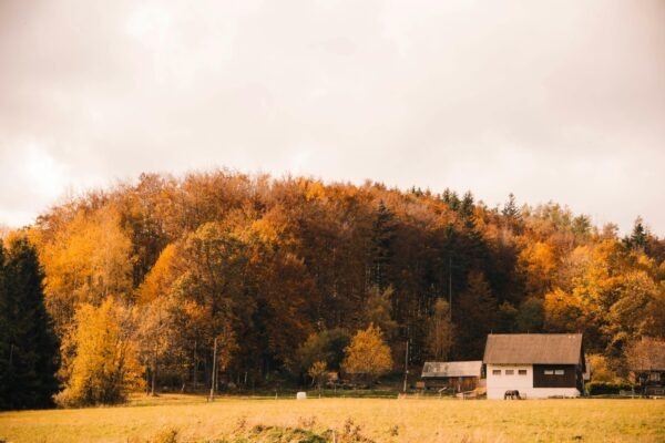 Slovenská próza 19. storočia: Rozvoj žánrov, autori a tematika