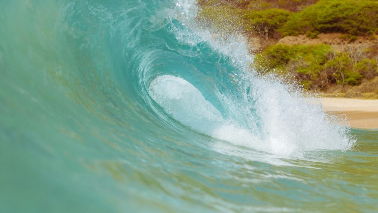 Vplyv digitalizácie na umenie a spoločnosť: Transformácia tvorby a recepcie