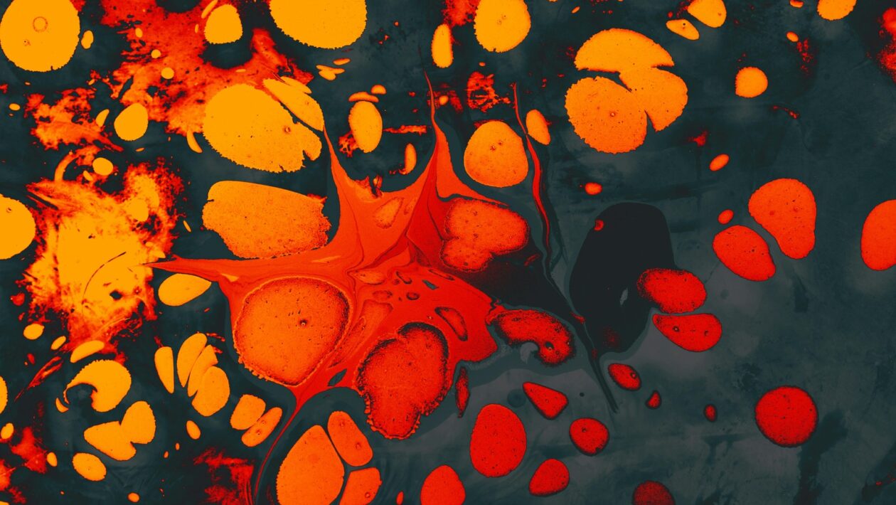 Úloha verejných a súkromných fondov v kultúre: Model financovania a mecenášstva