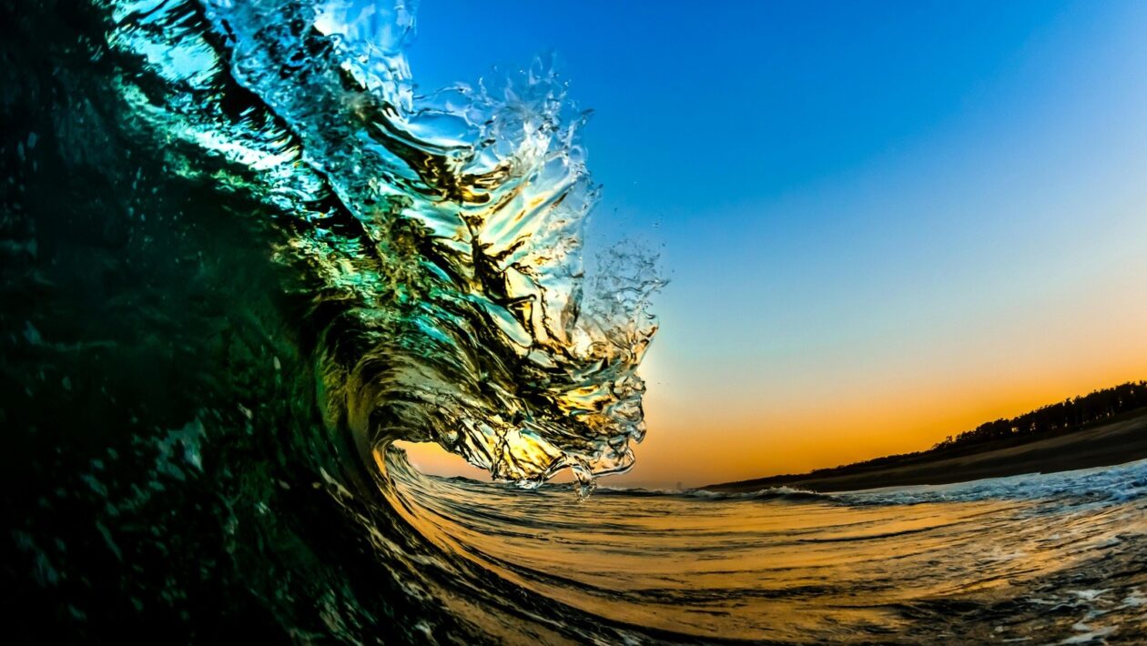 Základy výtvarného prejavu a kompozície: Princípy vizuálnej komunikácie