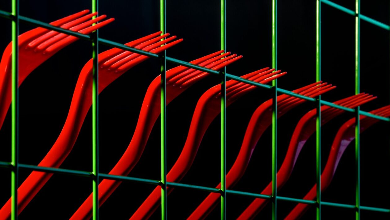 Majstri svetla a drámy: Hĺbková analýza renesančného a barokového maliarstva