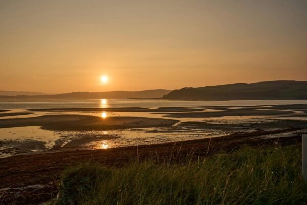 Umenie plagátu a typografie: Vizuálna komunikácia a estetika písma