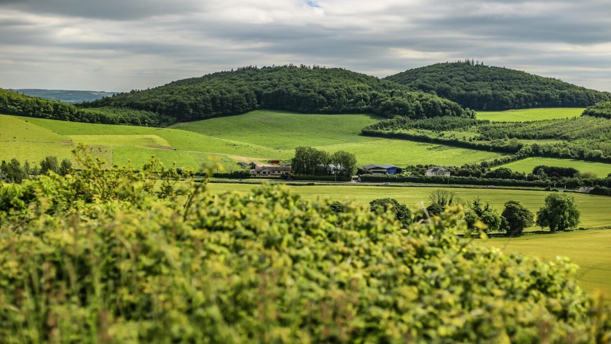 Digitálne úpravy a vizuálne efekty: Postprodukcia v súčasnej fotografii