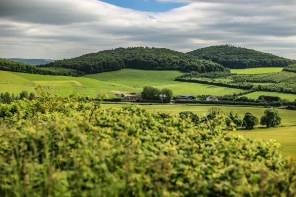 Digitálne úpravy a vizuálne efekty: Postprodukcia v súčasnej fotografii