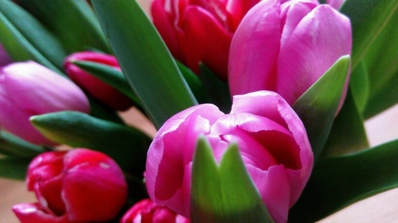 Legalizované street art zóny a mestské projekty: Integrácia umenia do urbanizmu