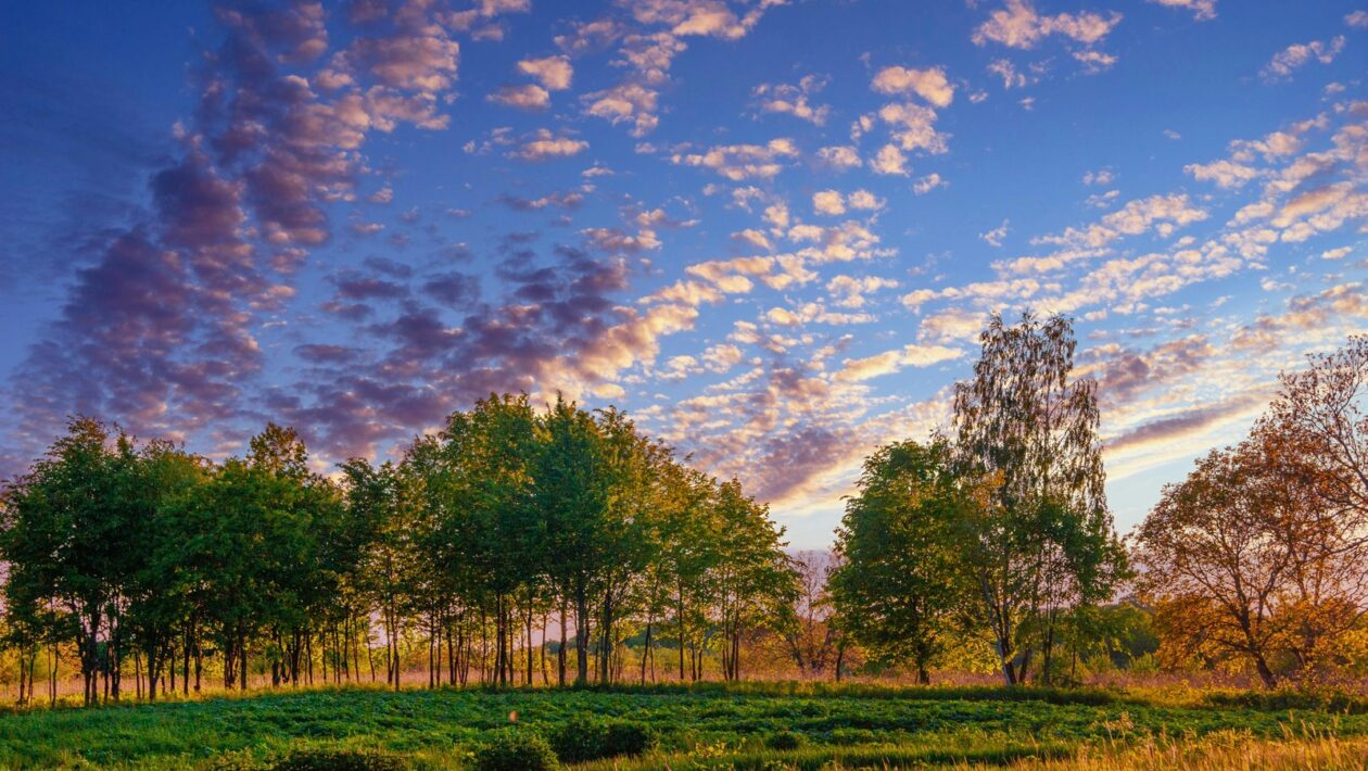 Romantická architektúra a záhradné parky: Estetika ruín a idylická krajina