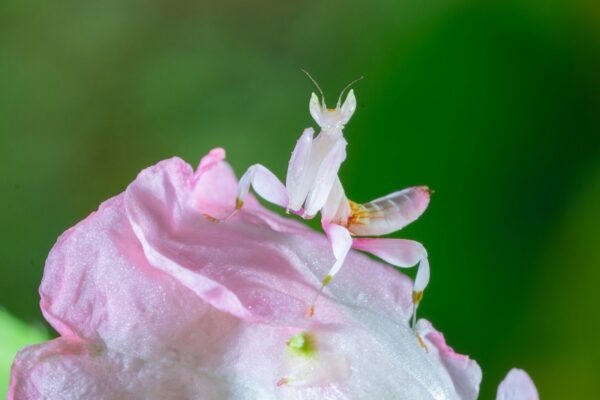 Architektúra ako sociálny priestor: Tvorba komunity a verejného života