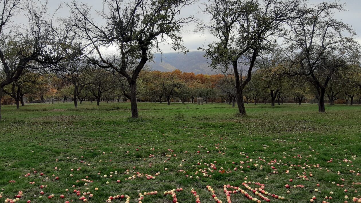 Významné osobnosti svetovej réžie: Grotowski, Brook, Wilson a ich odkaz