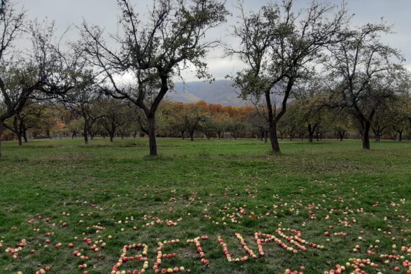Významné osobnosti svetovej réžie: Grotowski, Brook, Wilson a ich odkaz
