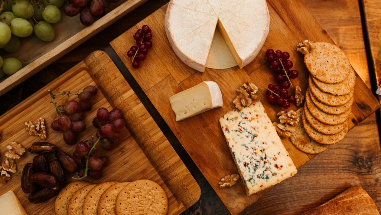 Charakteristika a druhy dokumentárneho filmu: Observačný, angažovaný, portrétny