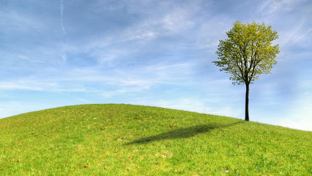 Prepojenie popu, módy a vizuálnej estetiky: Image a videoklipy