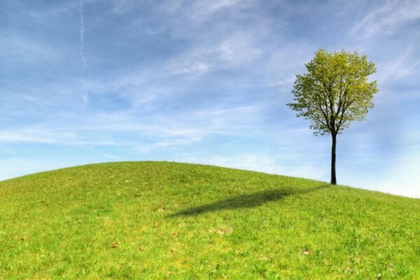 Prepojenie popu, módy a vizuálnej estetiky: Image a videoklipy