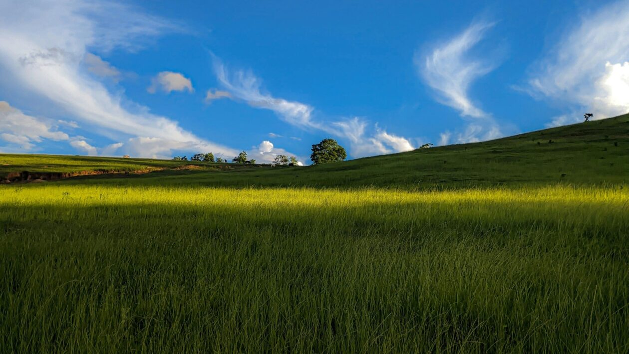 Slovenský a český rap: Tvorcovia a smery - komparácia lokálnych scén