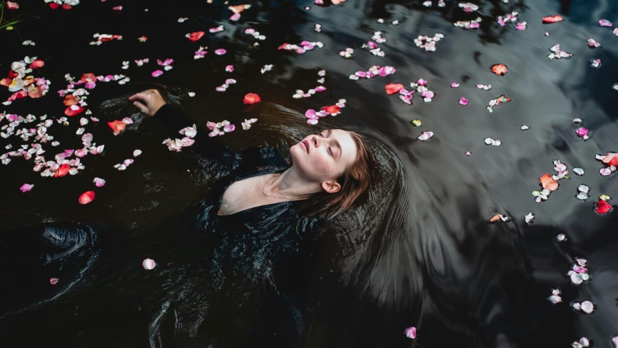 Rozdelenie orchestra a nástrojové skupiny: Drevené, plechové, sláčikové a bicie