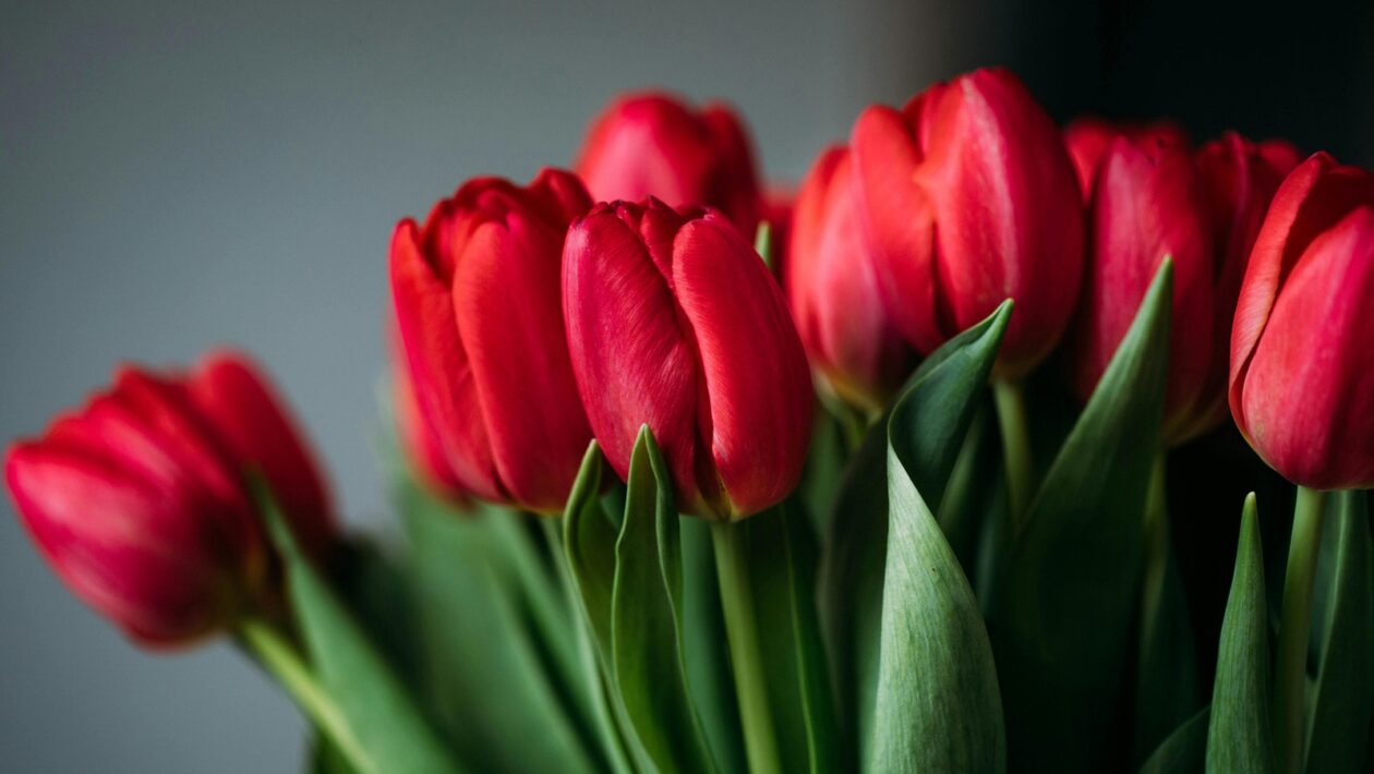 Kompozícia pre gitaru a harmónia: Akordy, stupnice a notácia