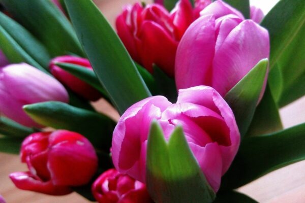 Perkusie v etnickej hudbe sveta: Symbolika a rituálna funkcia