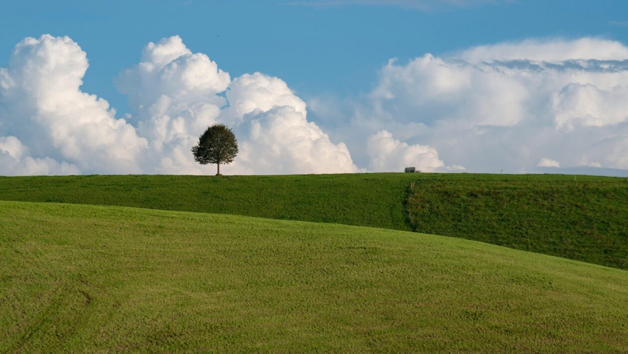 Francúzska cukrárska škola: Od croissantu po mousse – majstrovstvo dezertov