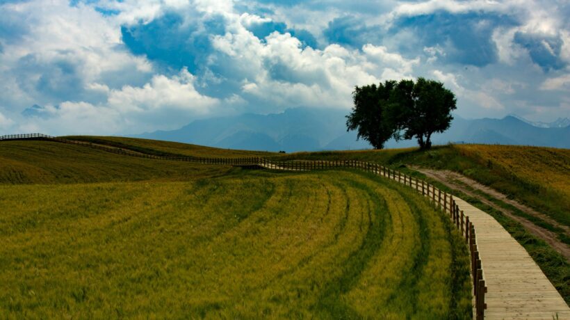 Nárečové prvky v umeleckej literatúre: Štylistická funkcia a autenticita