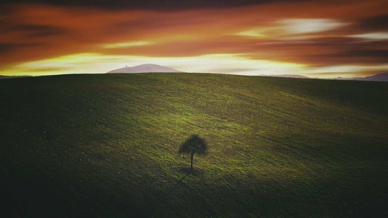 Ľudovít Štúr a kodifikácia stredoslovenského základu: Vízia a realizácia