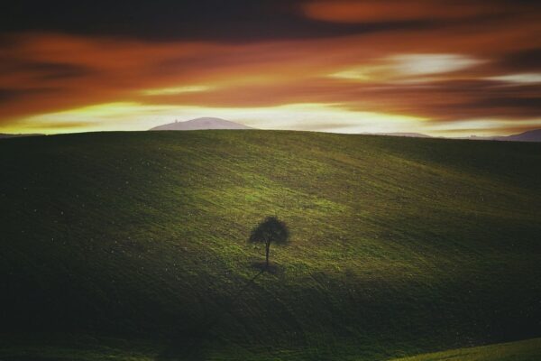 Ľudovít Štúr a kodifikácia stredoslovenského základu: Vízia a realizácia