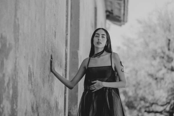 Lexikálne jednotky a ich vzájomné vzťahy: Sémantika a štruktúra slovnej zásoby