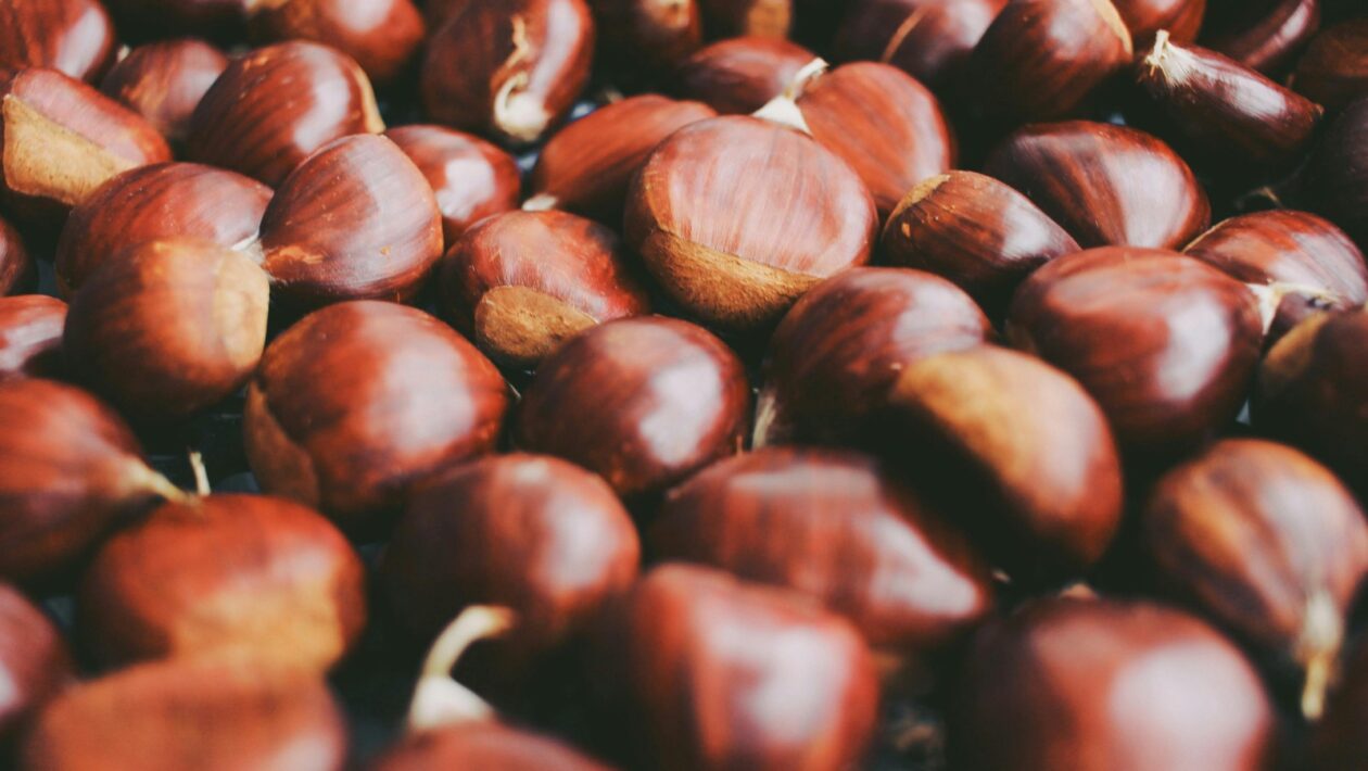 Elektronické databázy slovenského lexika: Korpusy a digitálne zdroje