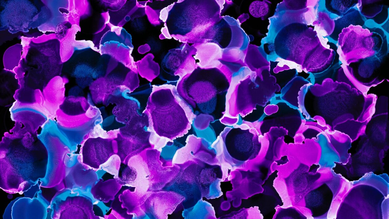 Jazyková zdvorilosť a argumentácia: Stratégie presviedčania a interakcie