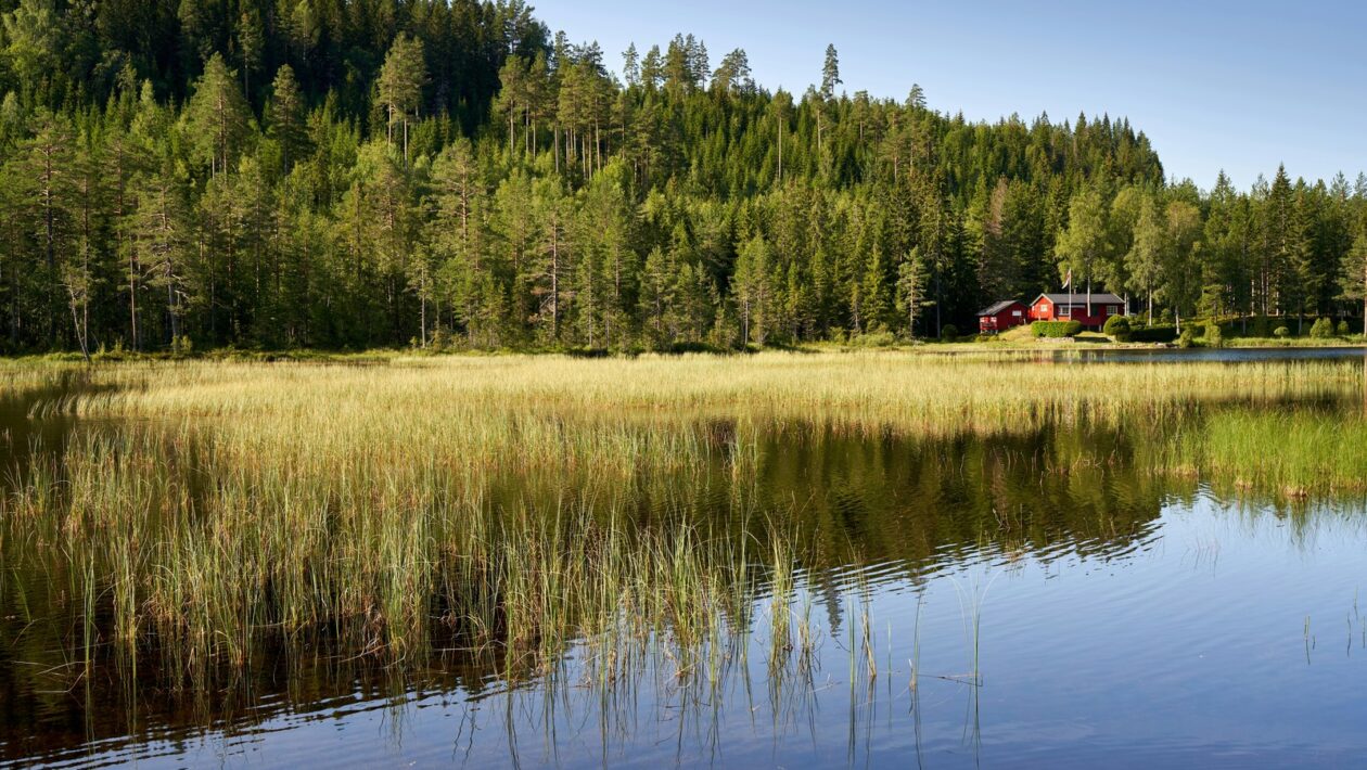 Tematické a žánrové tendencie po roku 2000: Súčasná slovenská literárna mapa