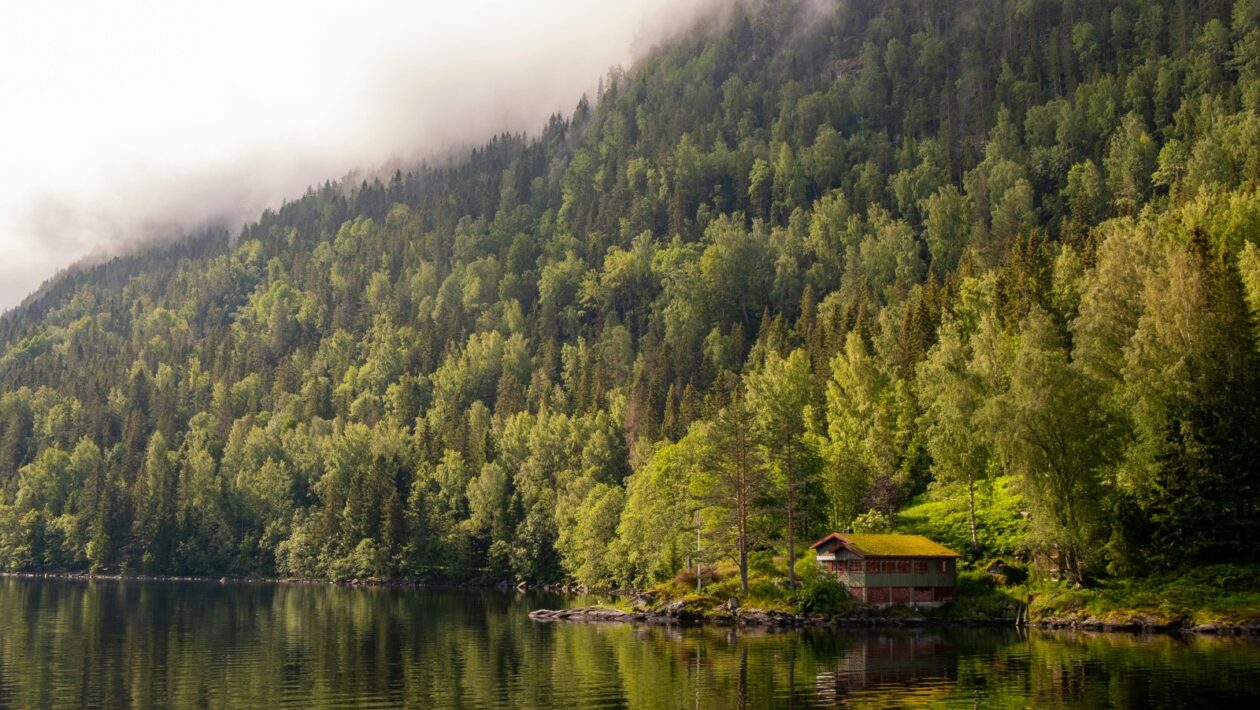 Ženská literatúra a feministické čítanie textu: Rodový aspekt v slovenskej próze a poézii