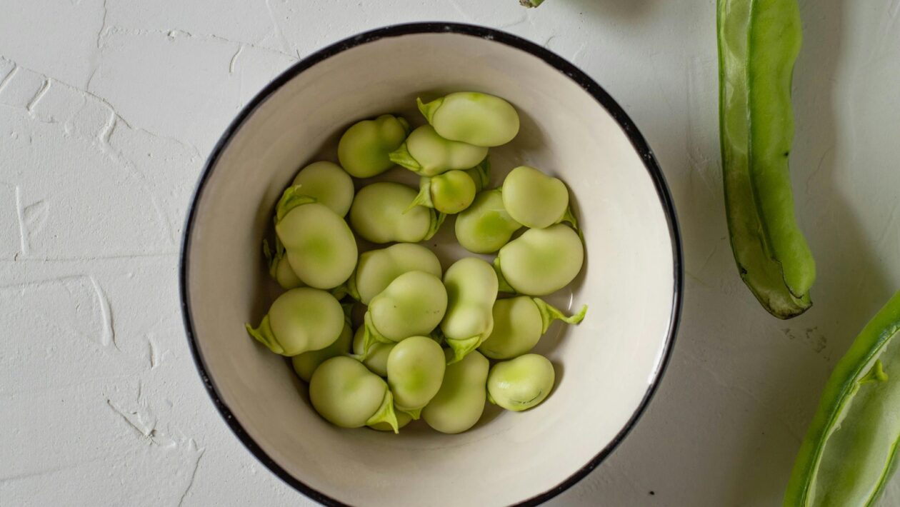 Rozum, poriadok a harmónia v literatúre klasicizmu: Racionálna estetika