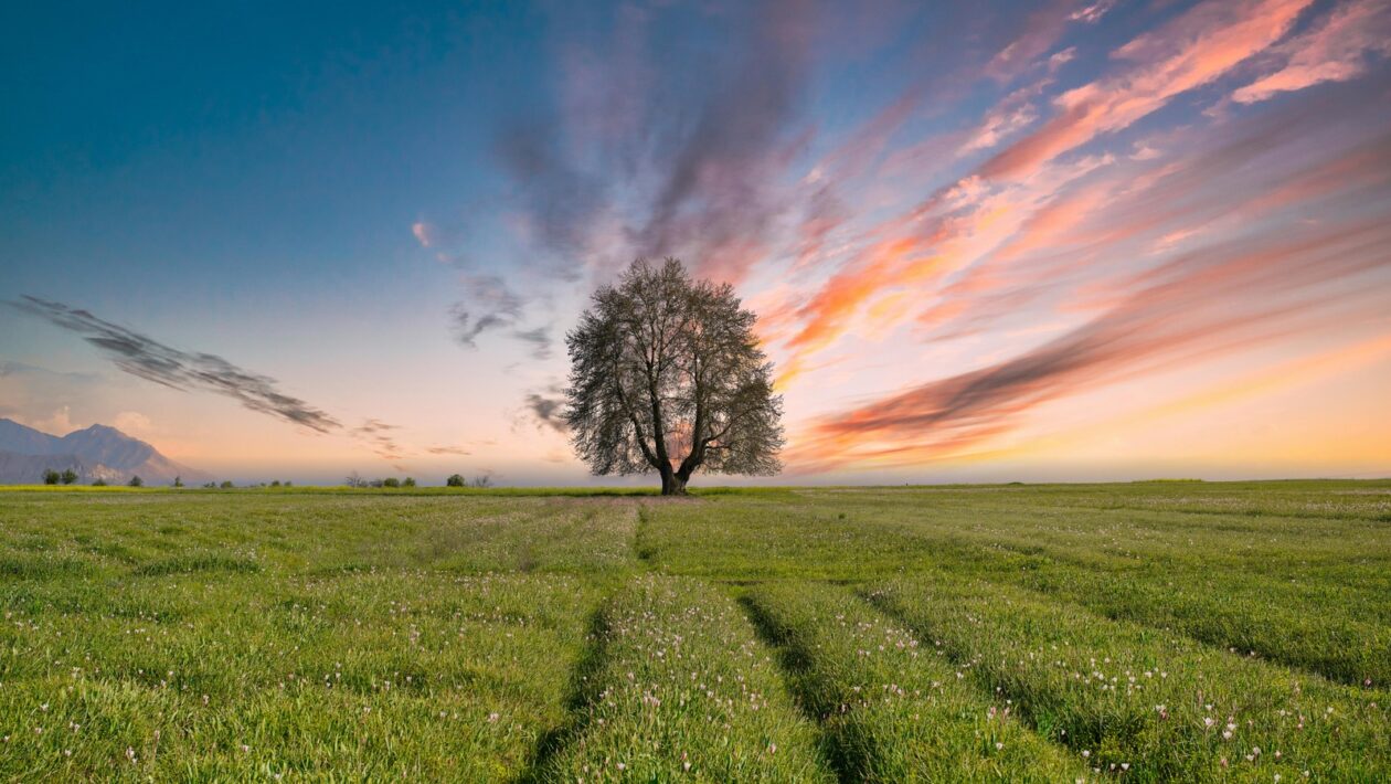 Encyklopedisti a literárne reformy 18. storočia: Vzdelanosť a šírenie poznania