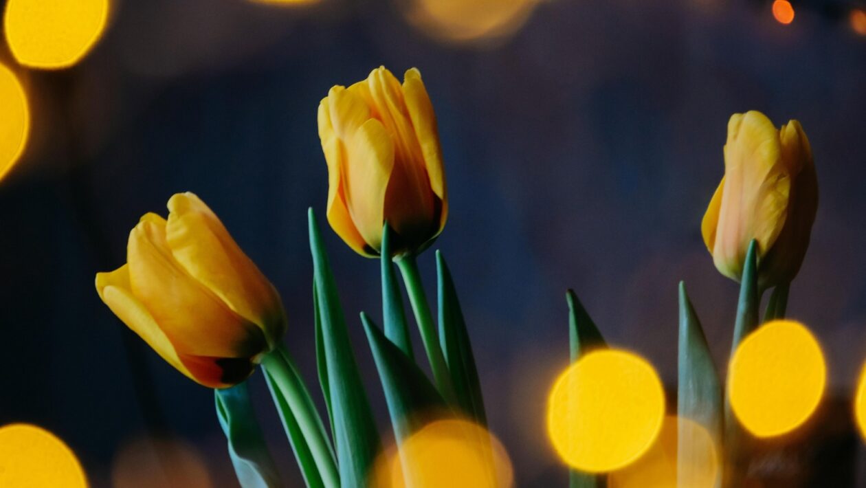 Napätie medzi racionalitou a emóciou v literatúre: Od realizmu k symbolizmu