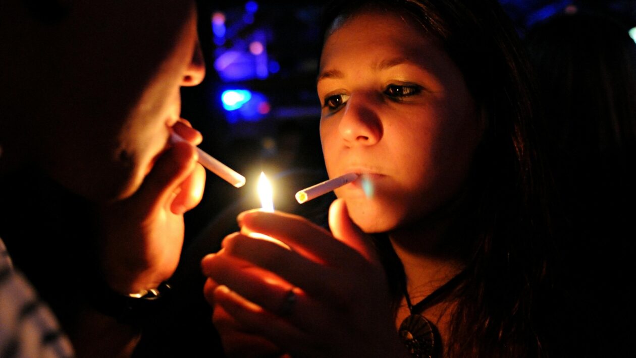 Preklady, festivaly a literárne ceny: Mechanismy šírenia svetovej literatúry