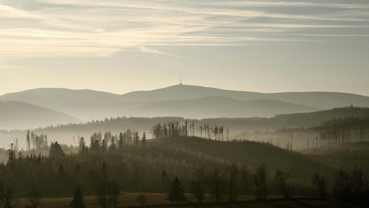 Learning outcomes na študijný plán: preložte ciele predmetu do týždenných akčných krokov