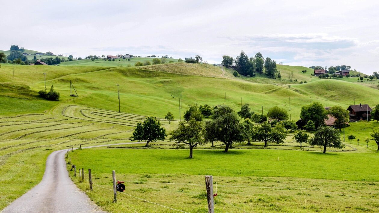 Študijné aplikácie: nástroje na focus, blokovanie a produktívne to-do listy