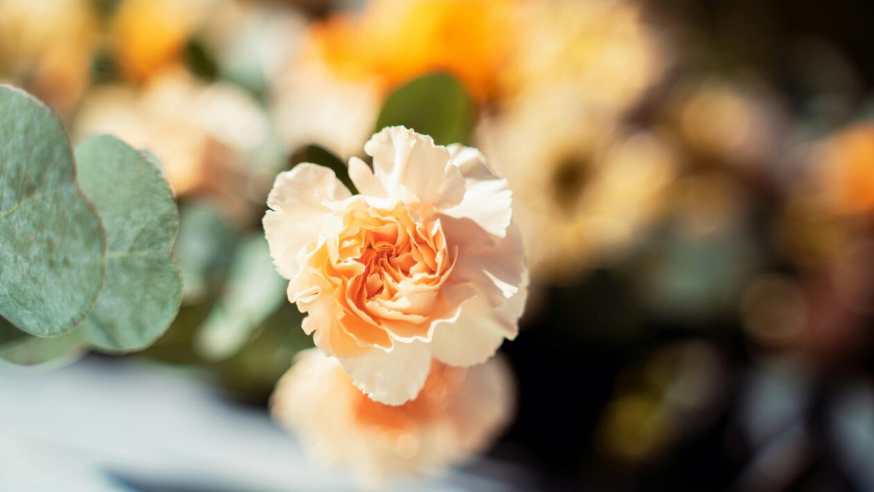 Abstrakty: 5 najčastejších chýb a jednoduché rýchle opravy